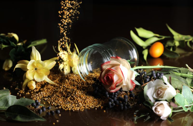 گرده گل چند گیاه ویستور 100 گرمی طبیعی و مقوی