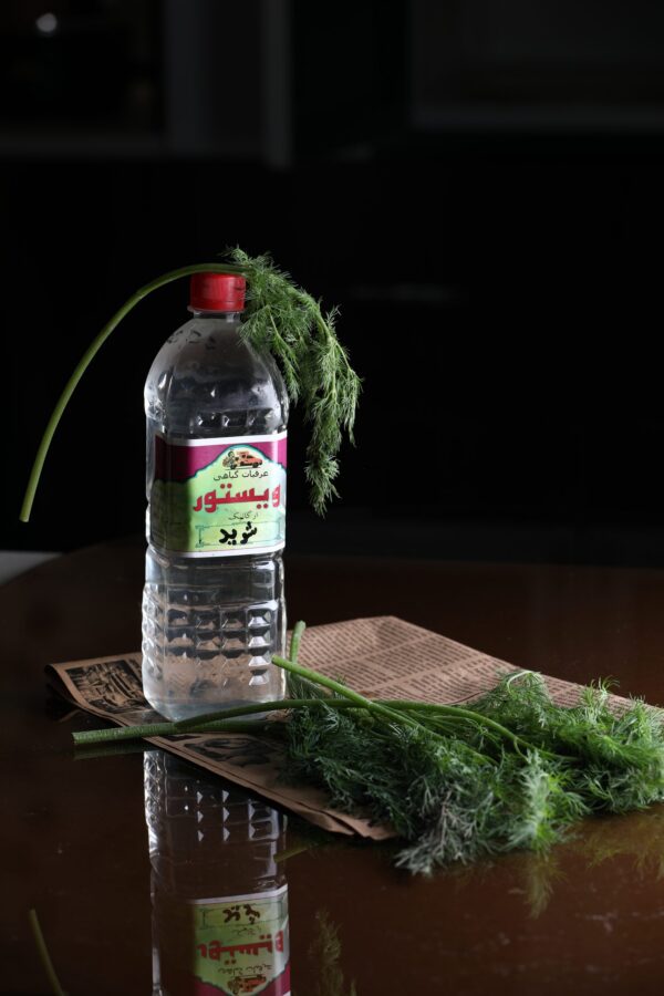 (عرق شوید) کمک به گوراش