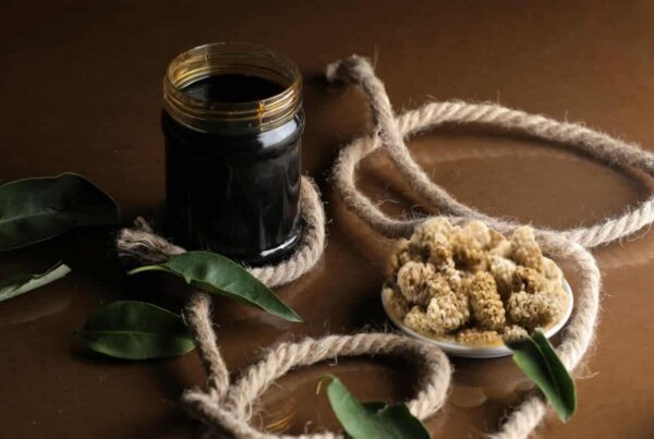 (شیره توت) شیرین‌کننده طبیعی و انرژی‌زا