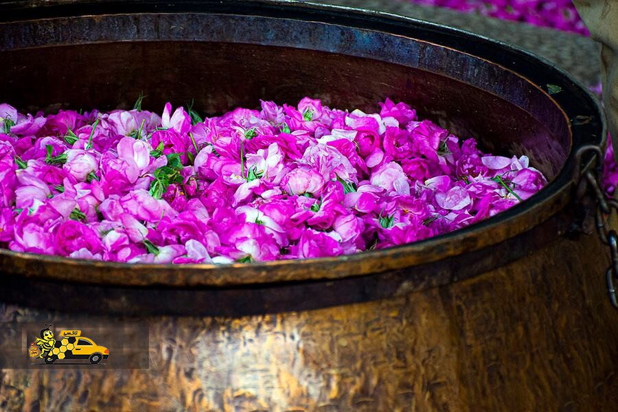 تخمیر طبیعی گلاب در اثر گرما